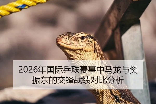 2026年国际乒联赛事中马龙与樊振东的交锋战绩对比分析