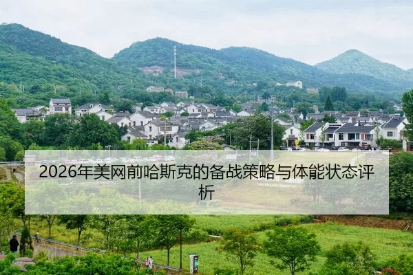 nian-mei-wang-qian-ha-si-ke-de-bei-zhan-ce-lve-yu-ti-neng-zhuang-tai-ping-xi-2-862.jpg