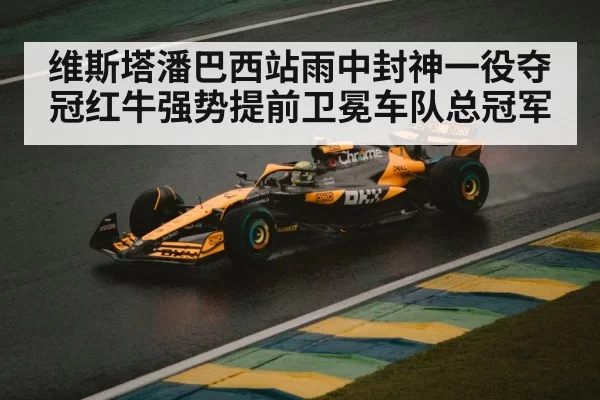 维斯塔潘巴西站雨中封神一役夺冠红牛强势提前卫冕车队总冠军